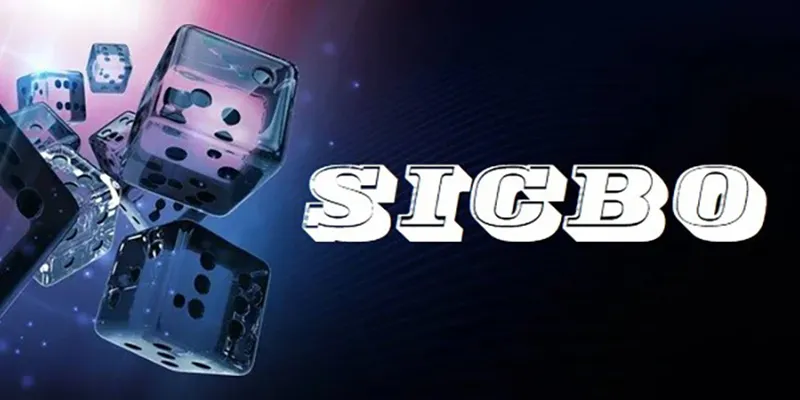 Sicbo là trò chơi xúc xắc được yêu thích tại casino xin88.